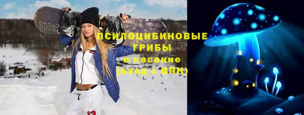 трава Надым
