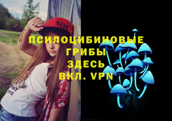 трава Надым