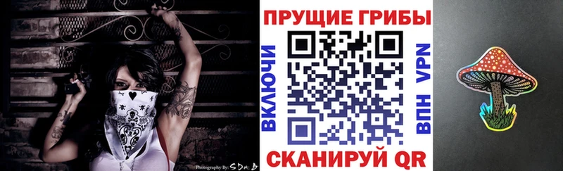 Псилоцибиновые грибы MAGIC MUSHROOMS  где купить   Коммунар 