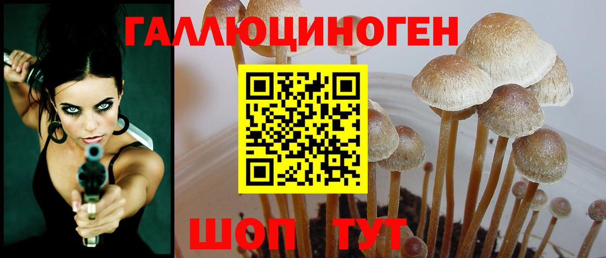 Галлюциногенные грибы Cubensis Коммунар