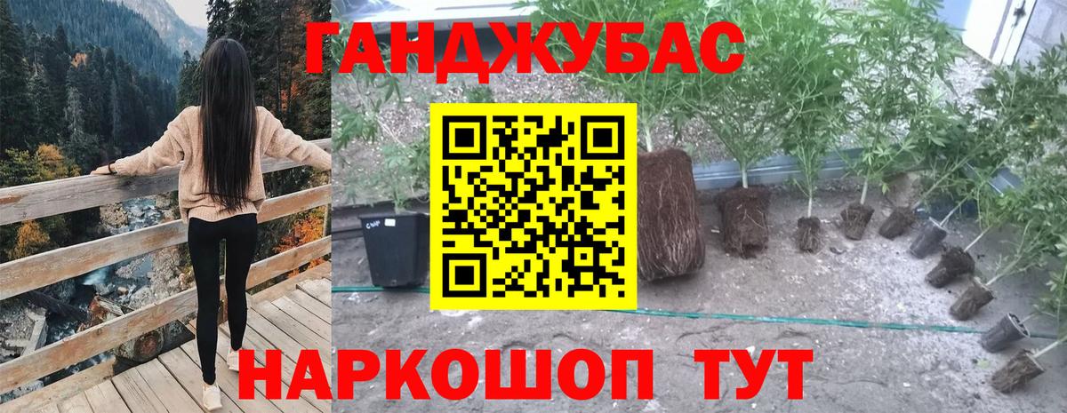 МАРИХУАНА OG Kush Коммунар